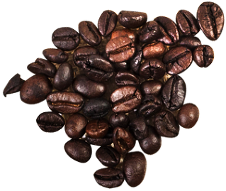 coffee beans